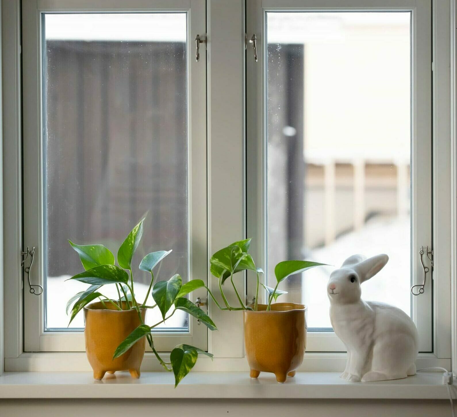 Energieffektivseringsstödet kan bli 30 000 kr per hus för att byta fönster